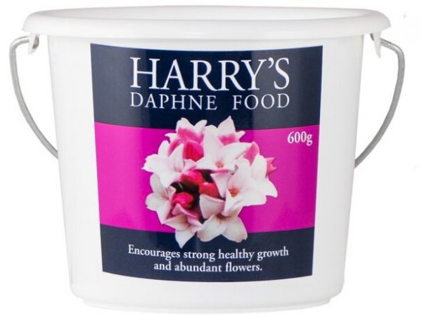 Daphne Food