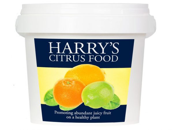 Citrus Food