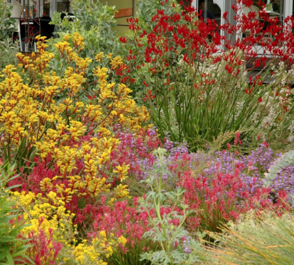 Native Gardens Victoria