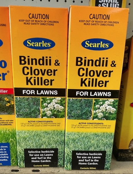 Bindii and Clover Killer for Lawns