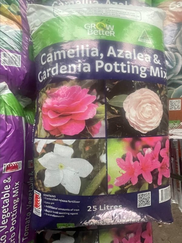Camellia Potting Mix
