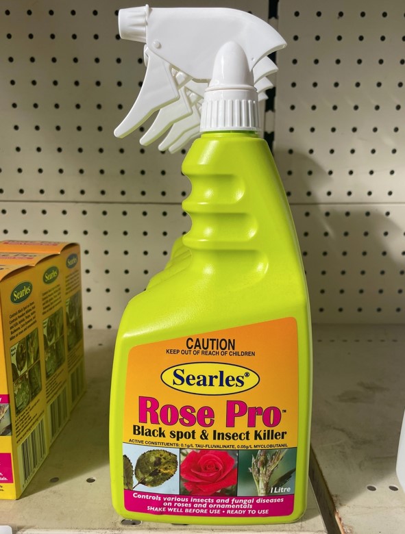 Rose Black Spot Spray