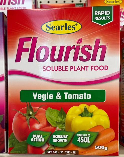 Vegetable Tomato Food